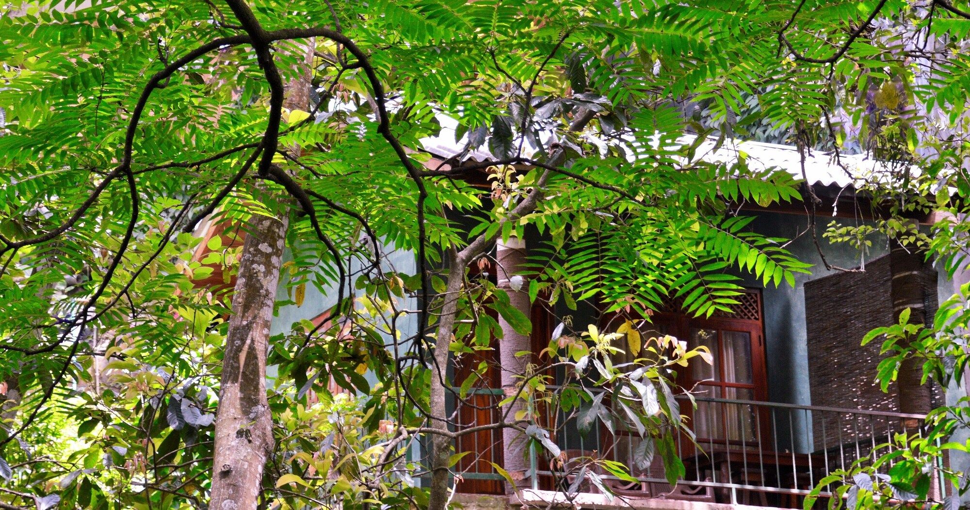 Vista del exterior