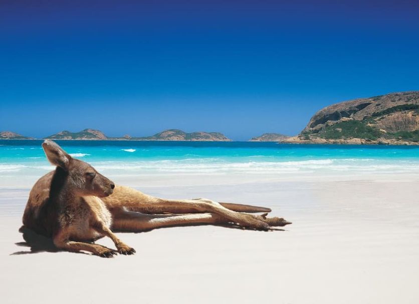 Playa Foto