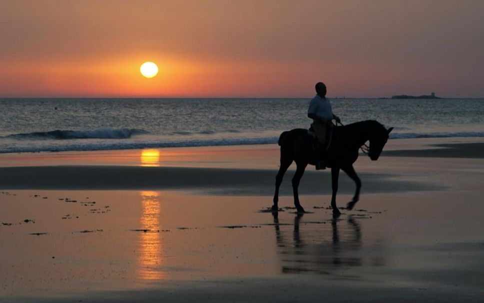Playa Foto